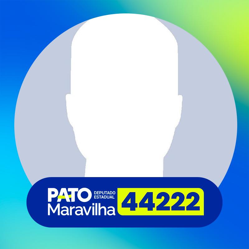 Meu Deputado Estadual é Pato Maravilha 44222