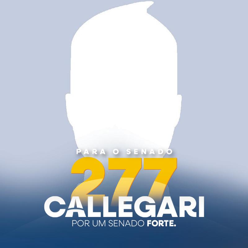 Callegari Senador 277
