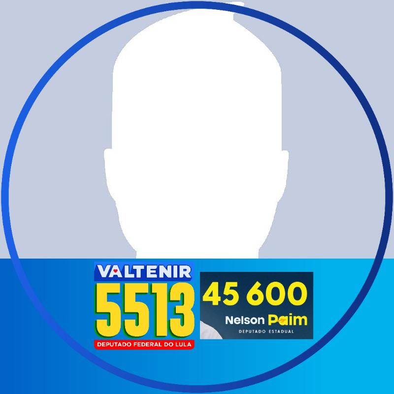 Dep. Estadual Nelson Paim #45600