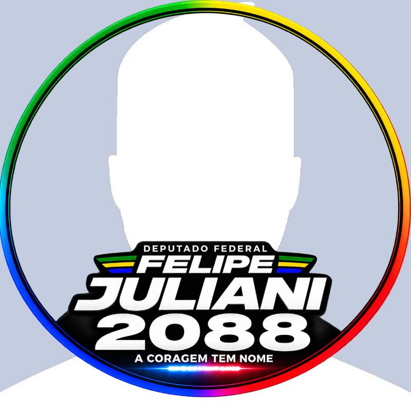 FELIPE JULIANI DEPUTADO FEDERAL 2088