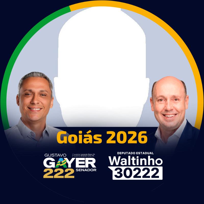 Waltinho Deputado Estadual