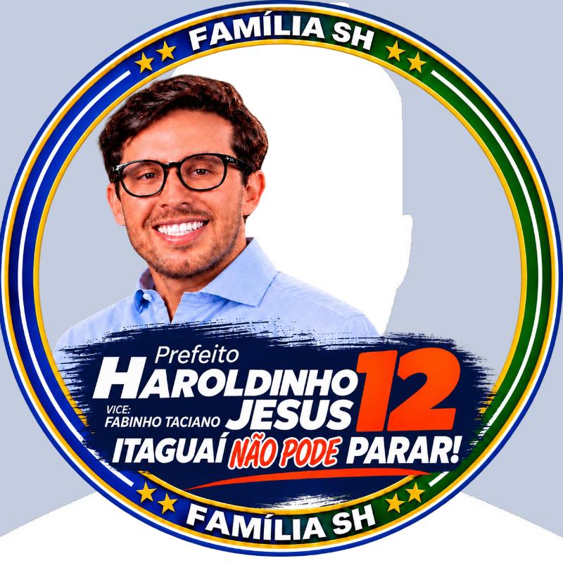 Haroldinho 12