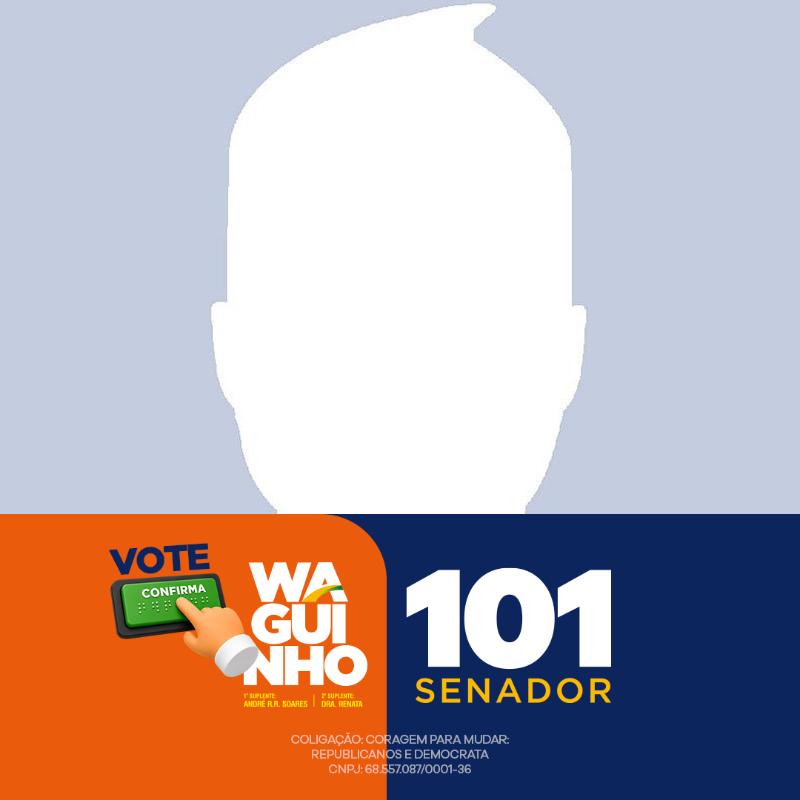 Eu VOTO 101
