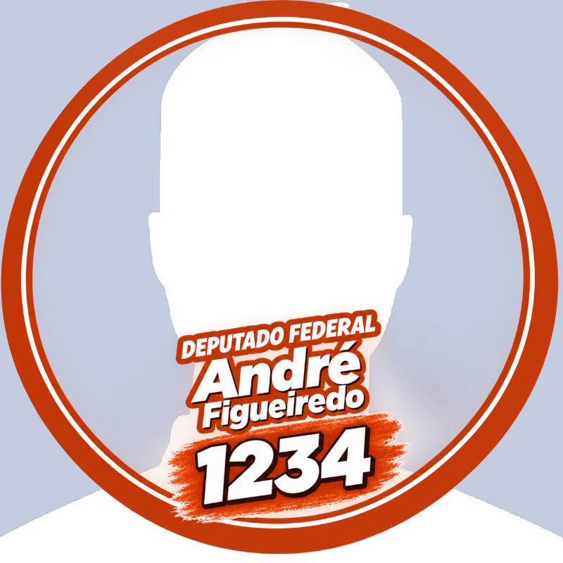 Deputado Federal André Figueiredo