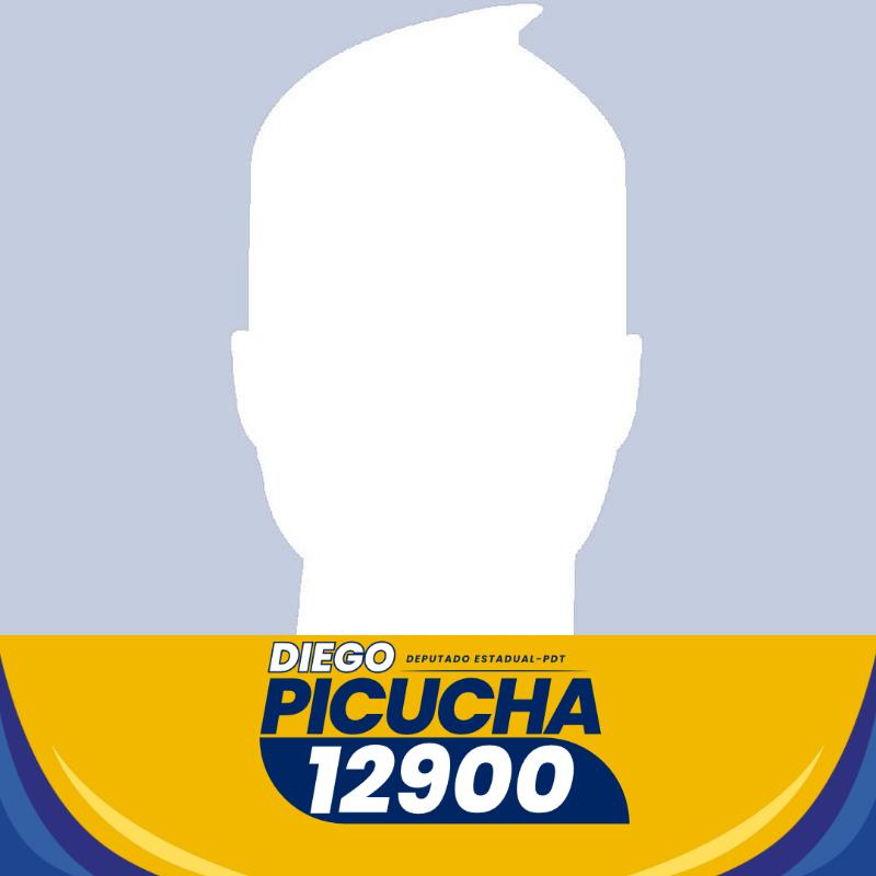 Diego Picucha Deputado Estadual 12900