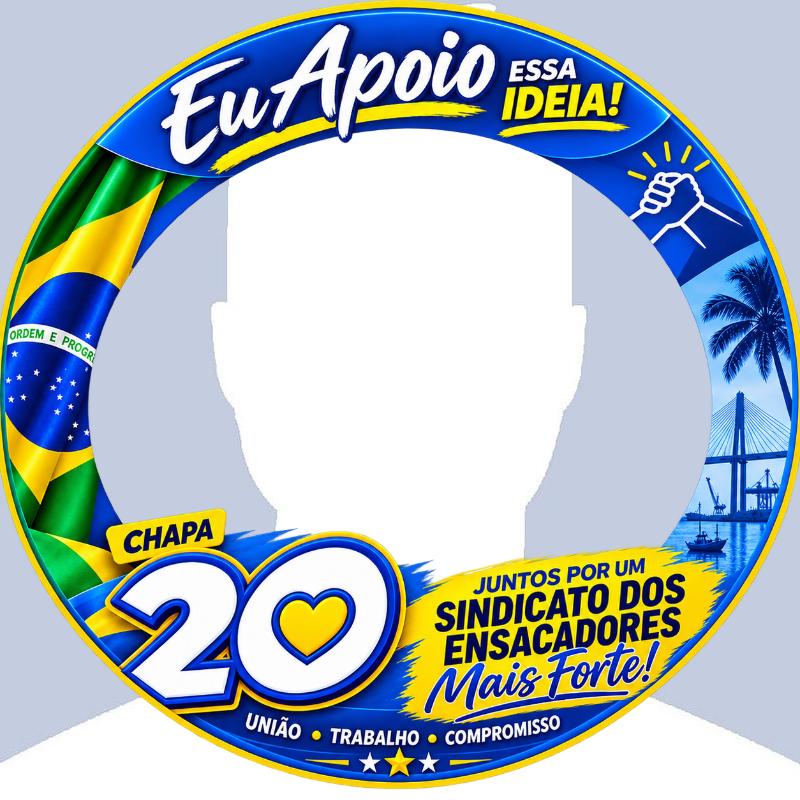 Chapa 20