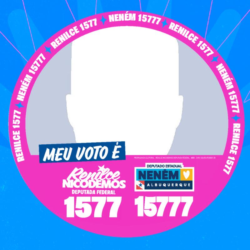 Deputada Federal