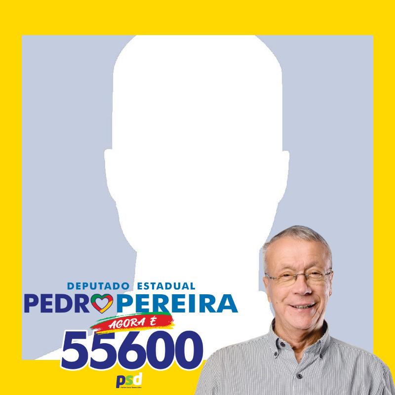 Deputado Estadual Pedro Pereira 55600