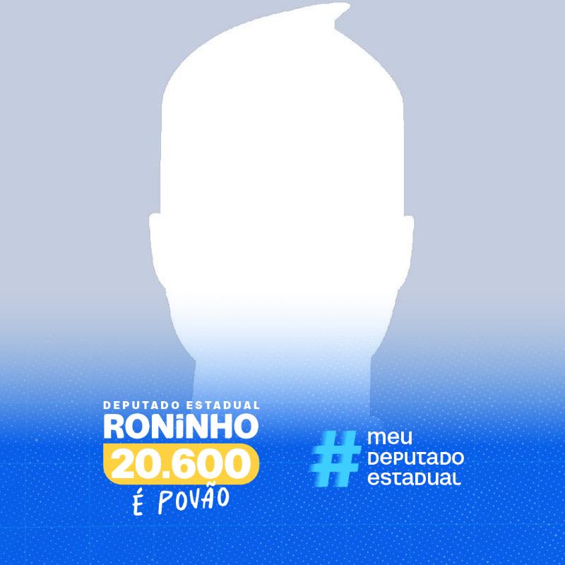 Deputado Estadual 20600