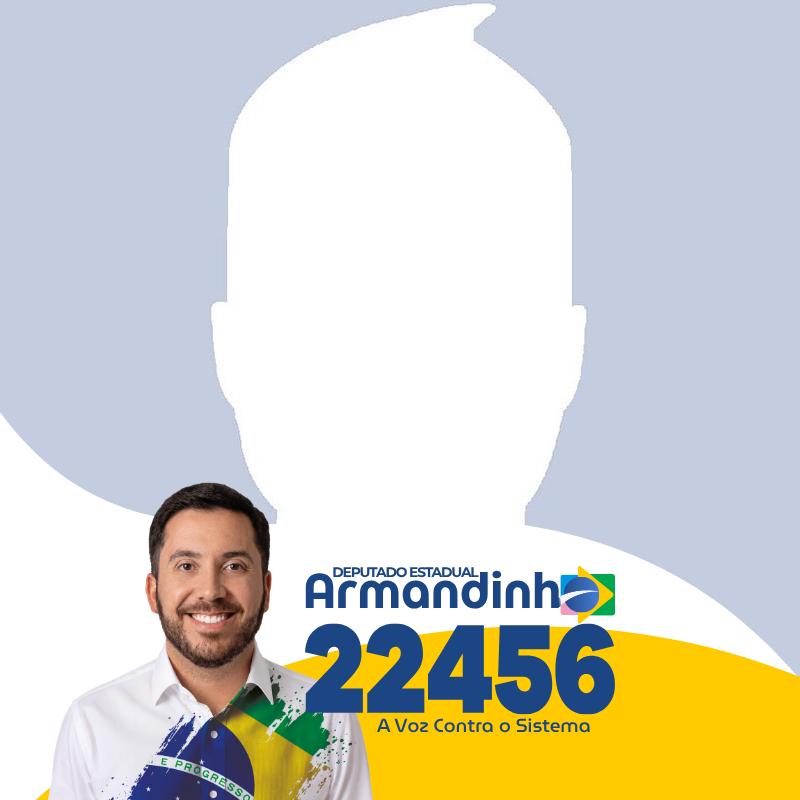 ARMANDINHO DEPUTADO ESTADUAL - 22.456