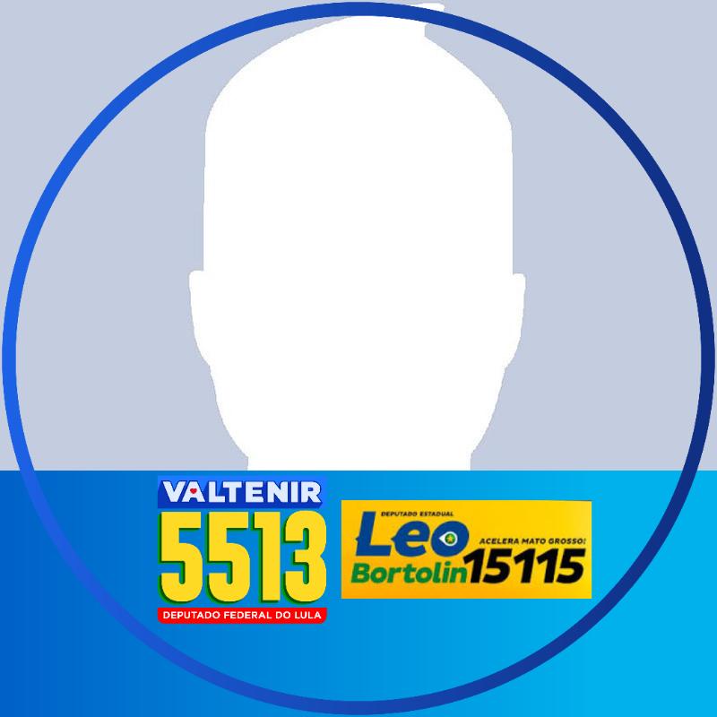Dep. Estadual Leo Bortolin #15115