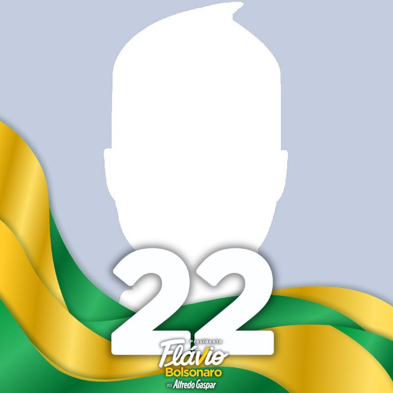 Eu apoio Flávio Bolsonaro 22 🇧🇷