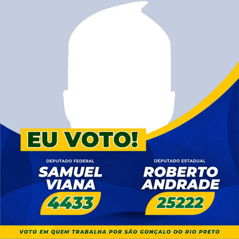 Apoie 4433 & 25222