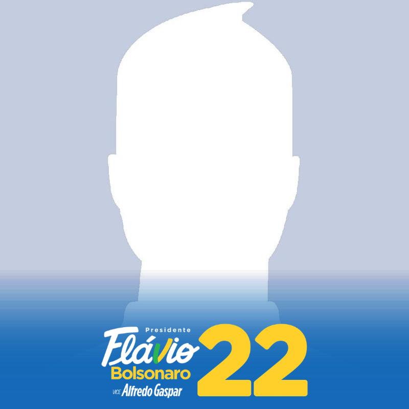 Bolsonaro 22 Whatsapp