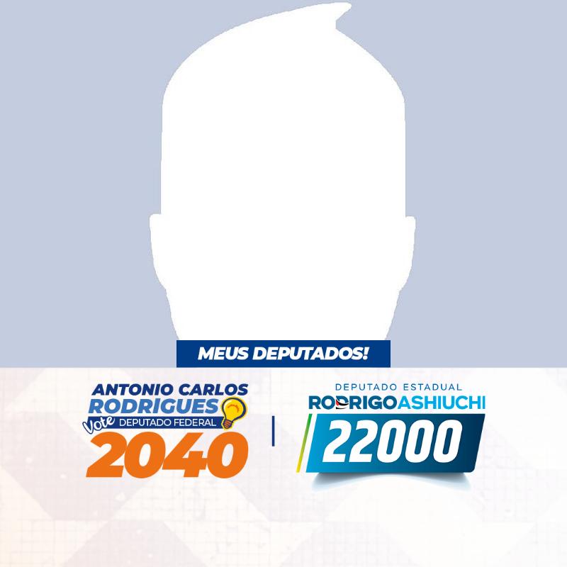 FEDERAL 2040 / ESTADUAL 22000