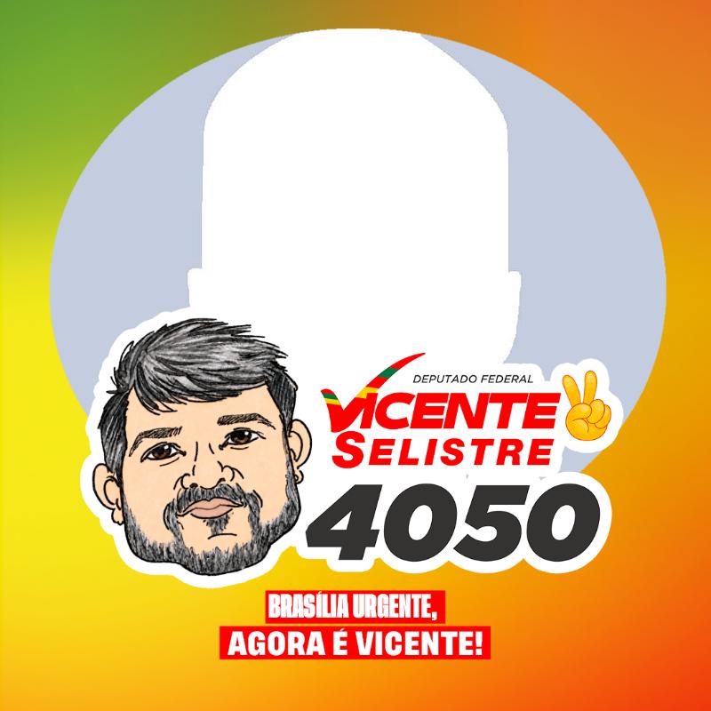 Vicente Selistre 4050 Deputado Federal