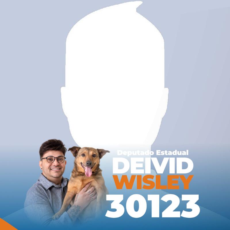 Deivid Wisley 30123