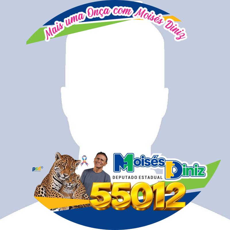 Moisés Diniz, Deputado Estadual 55012