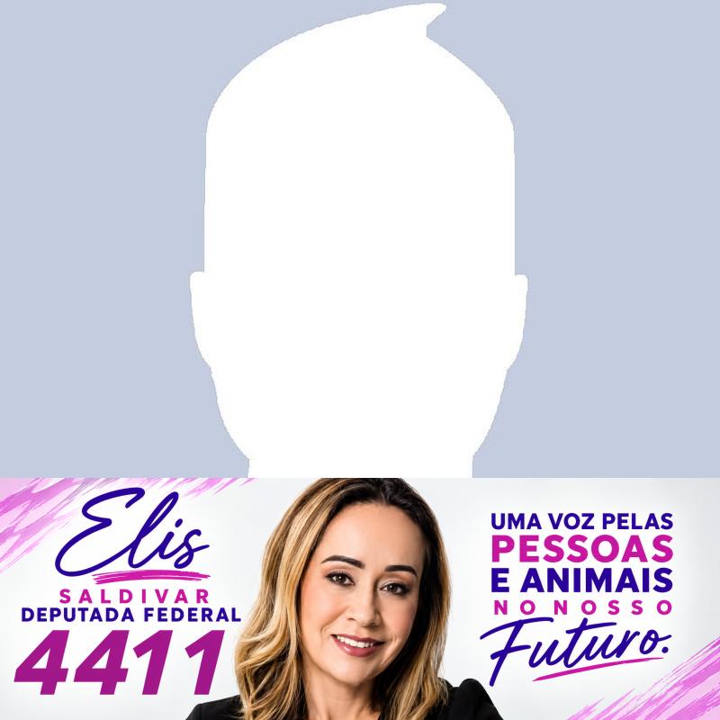 Elis Deputada Federal