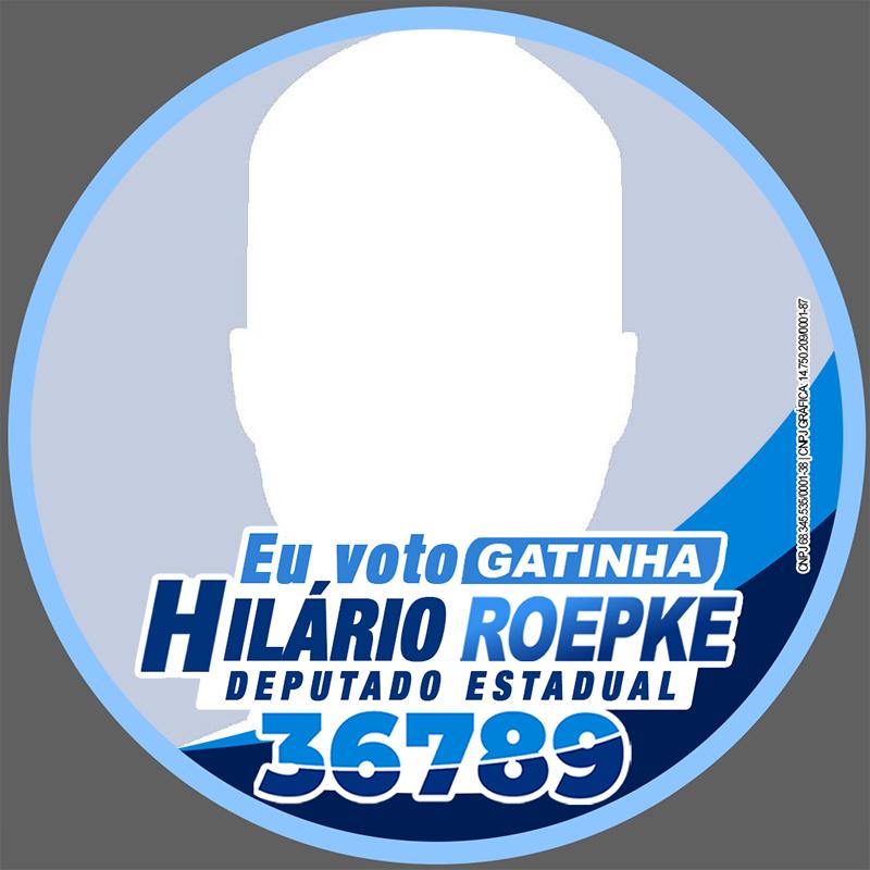 Eu Voto GATINHA Hilário Roepke 36789