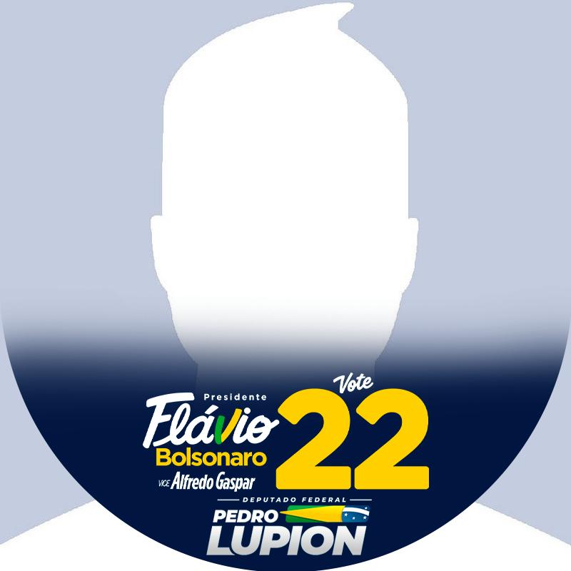 Pedro Lupion e Flavio Bolsonaro