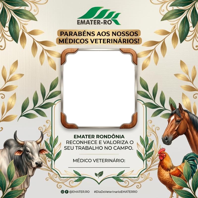 Médico Veterinário