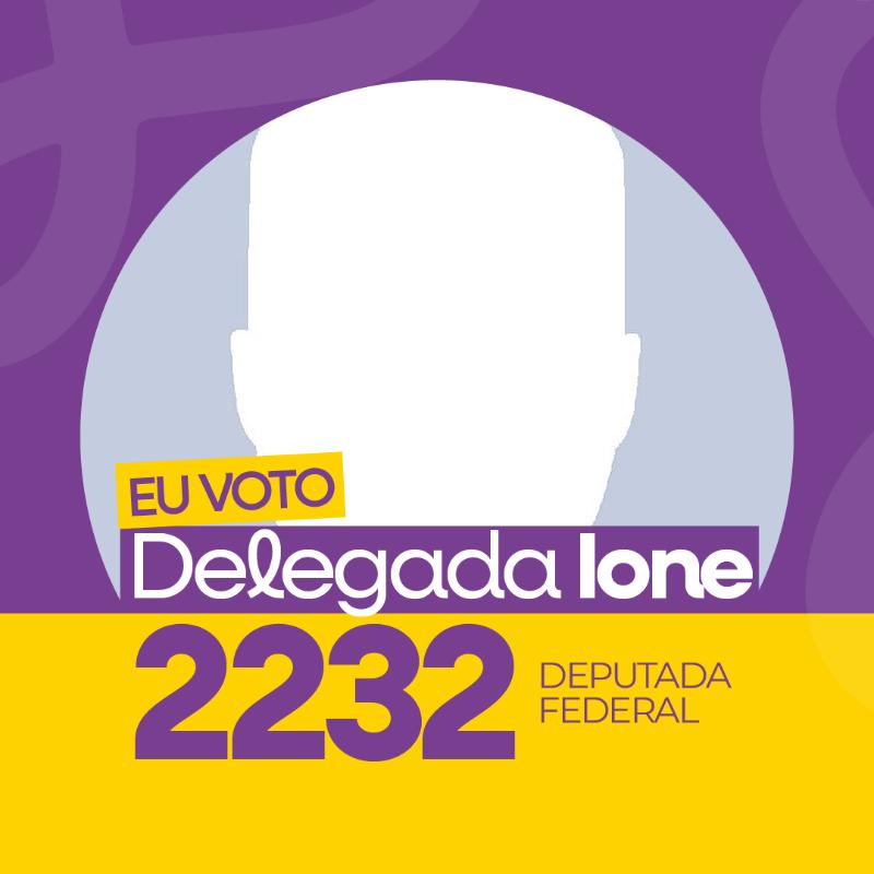 DEPUTADA FEDERAL - 2232