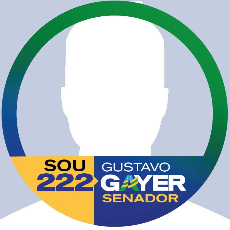 Gustavo Gayer SENADOR 222